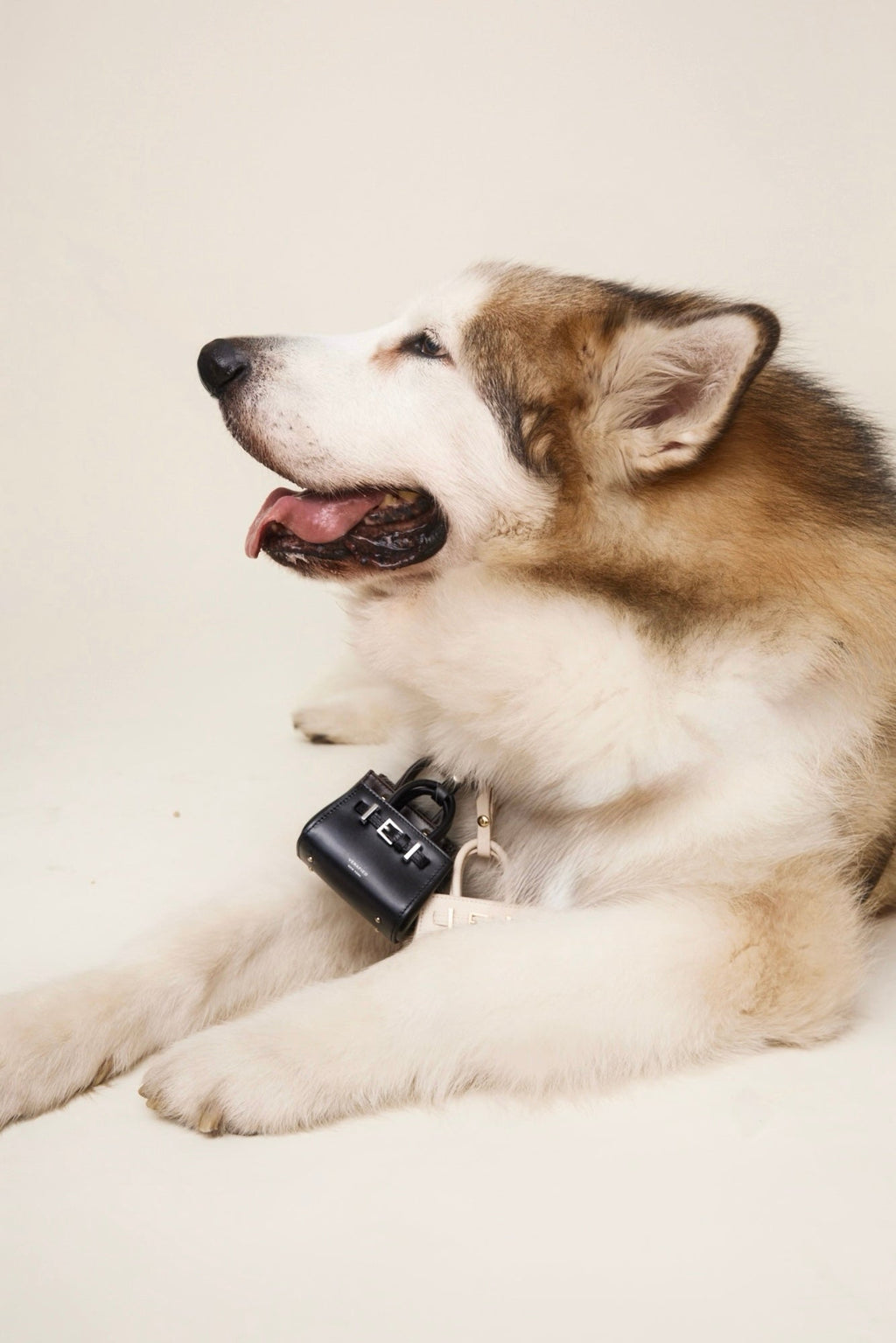 Noir Leather Book Tote Bag 25