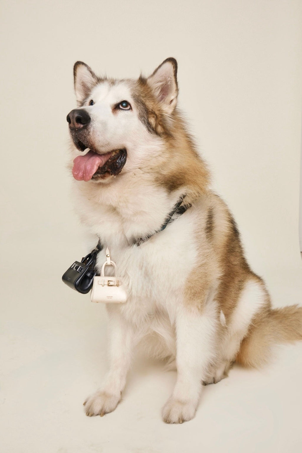 Noir Leather Book Tote Bag 25