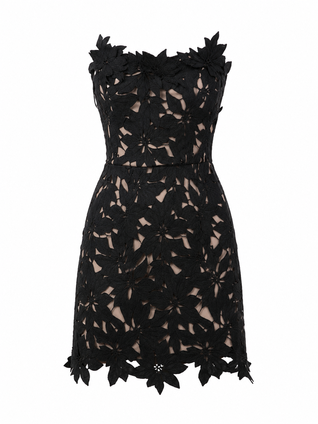 Edena Floral Lace Mini Dress