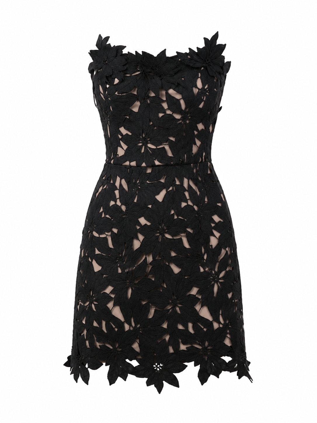 Edena Floral Lace Mini Dress