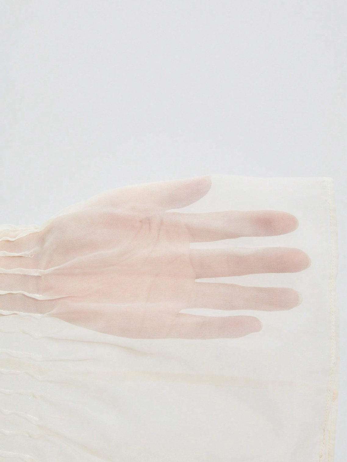 Monica Sheer Silk Top